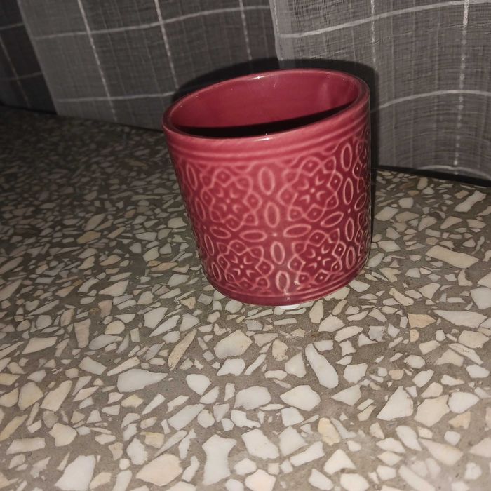 Świecznik, Doniczka, Osłonka, paszport roślin