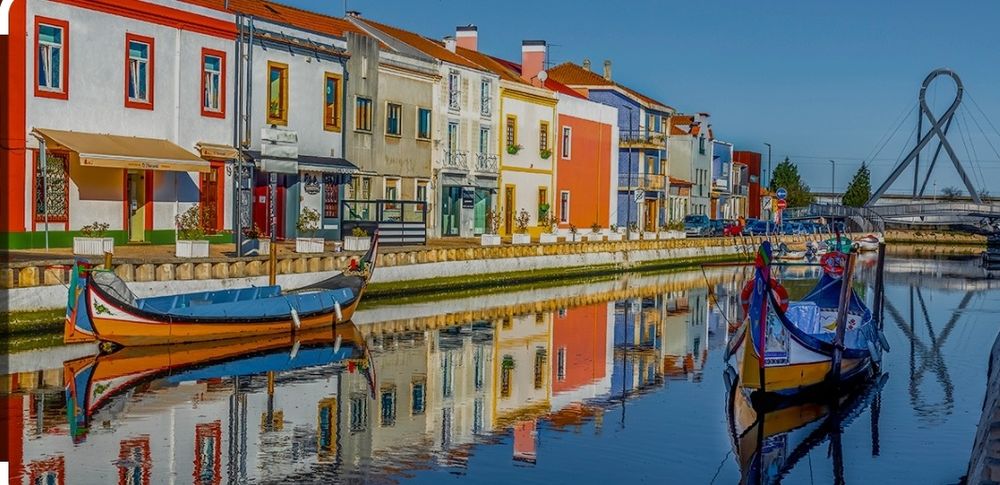 Motorista particular turismo