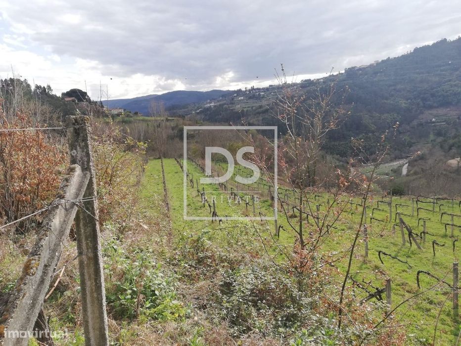 Quinta com vinha, monte e ruína