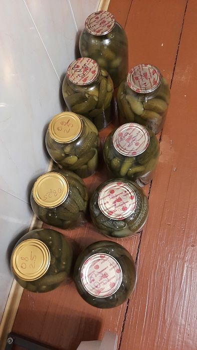 Консервація огірки мариновані огурцы солёные солоні