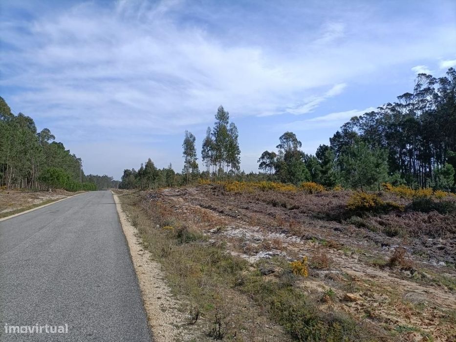 Terreno Serra do Bouro-Caldas da Rainha