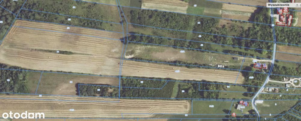 BOBOLICE | 1,146 ha | Widok na Zamek Bobolice i Mirów | Media | Asfalt