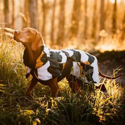 Kurteczka Rukka Pets Stormy 35