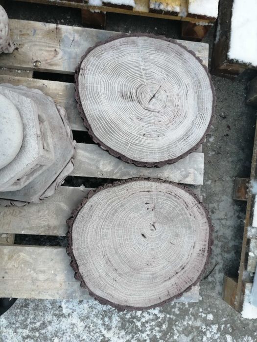 Płyty betonowe, płytki imitujące plastry drewna, krążki drewniane