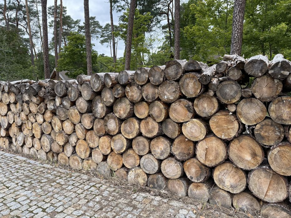 Drewno idealne do kominka