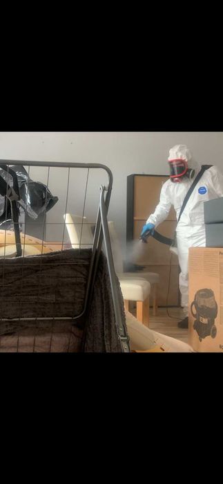 Profesjonalna Dezynsekcja Prusaków i Pluskwy! 100% Skuteczności!!!