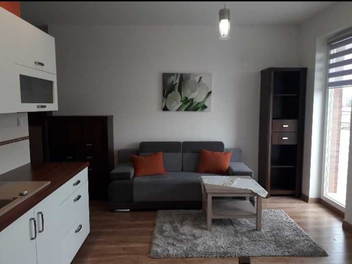 M-2, Bydgoszcz,  ul. Skorupki 90 - do wynajęcia
