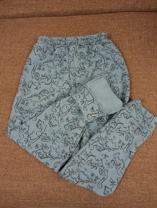 Піжама з динозаврами, чоловіча, С розмір