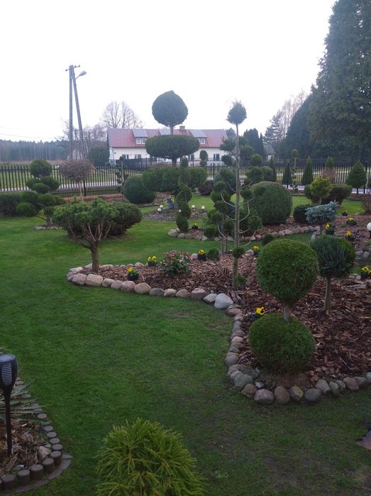 Czyszczenie działek pielęgnacja ogrodów