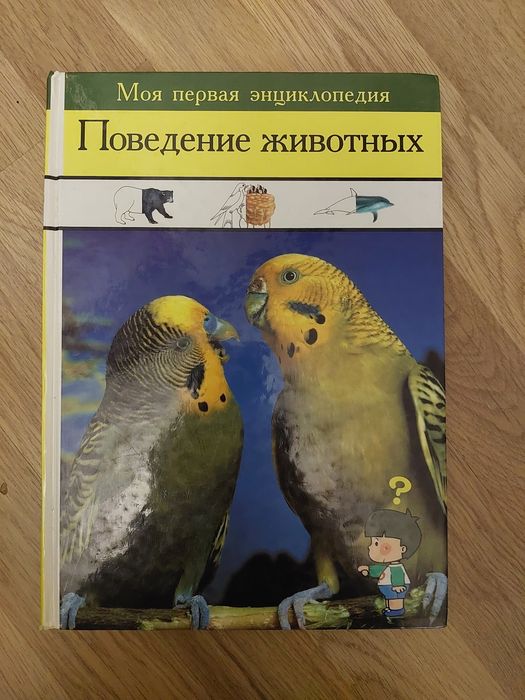 Продам книжку про попугаев .