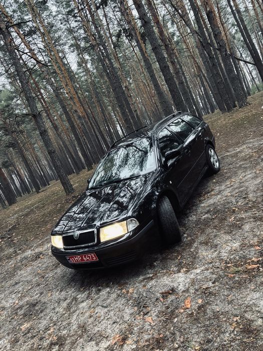 Свежопригнаная октавия