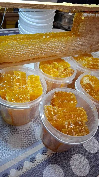 Мед у сотах. Стільниковий мед. доставка!