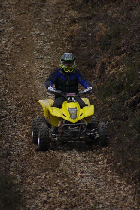 Suzuki ltz 400 quadsport