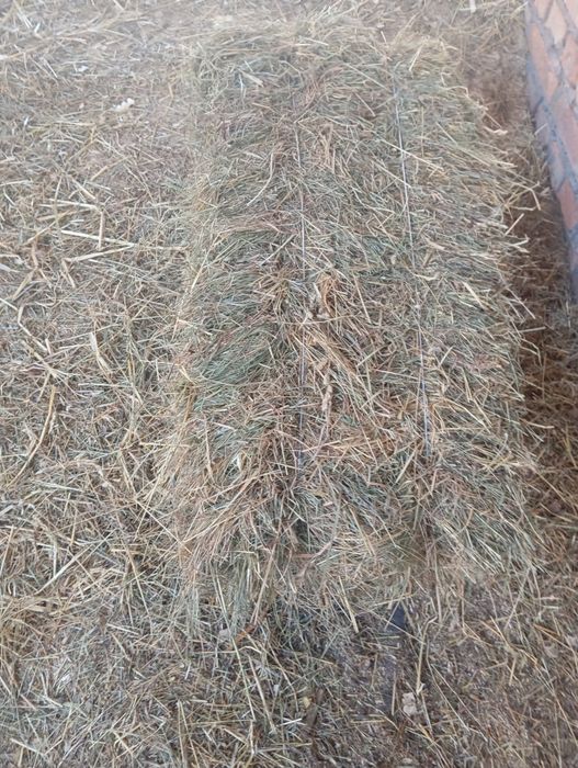 Продам сіно в тюках