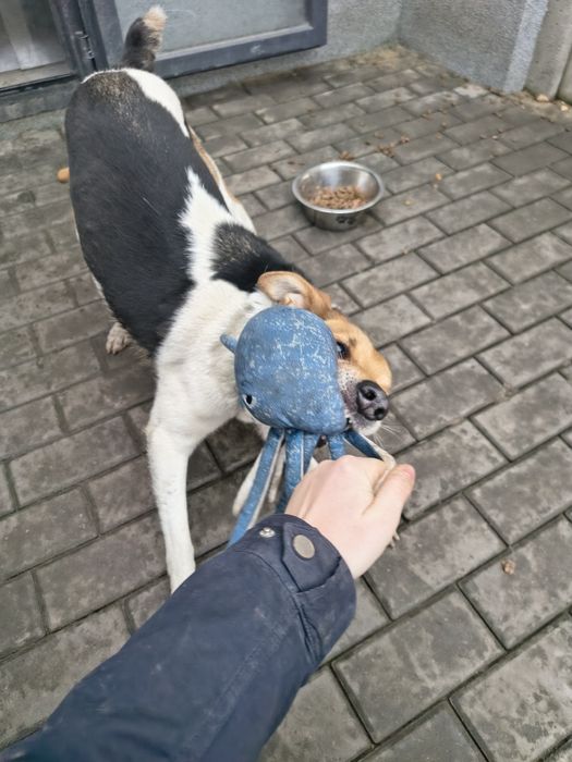 niewidzialny dla nikogo