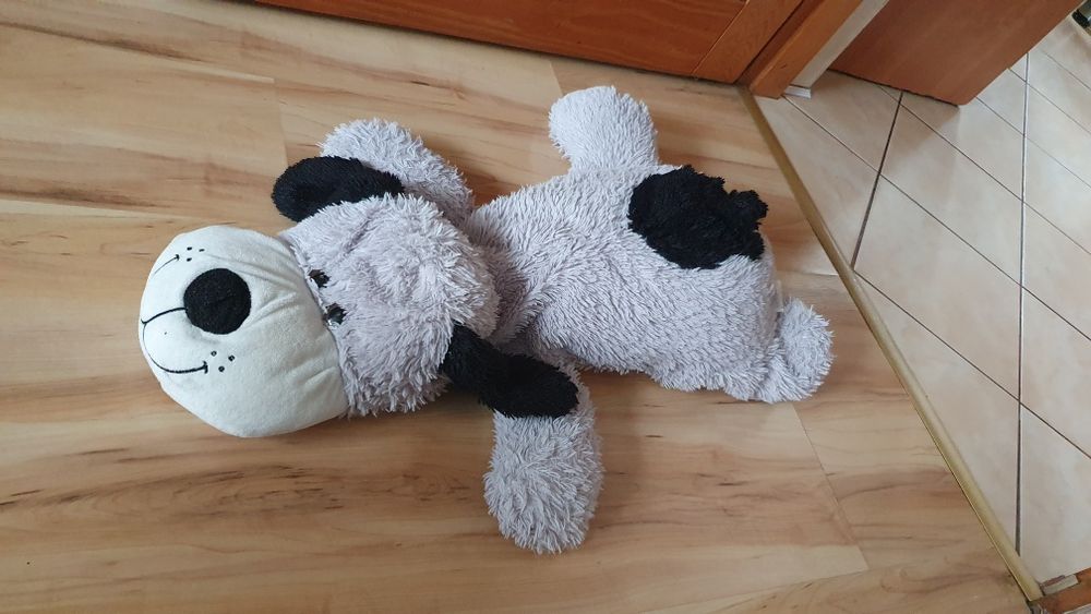 Maskotka leżący pies