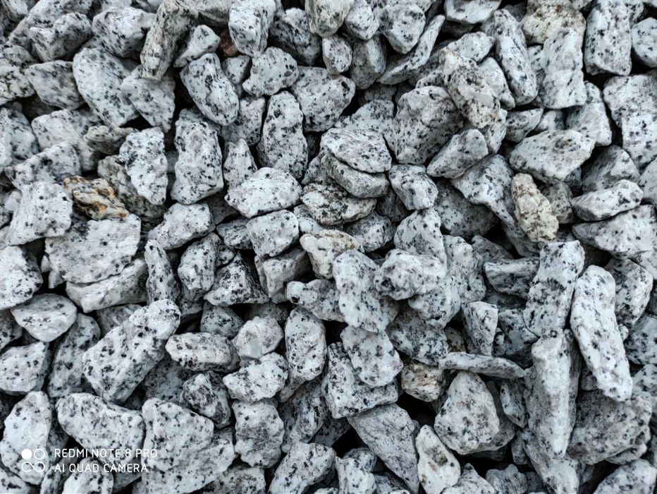 Grys Granitowy Dalmatyńczyk Kamień szary biała marianna bazalt kora