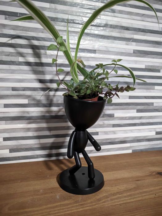 Plantas Cactos com Vaso Personalizado