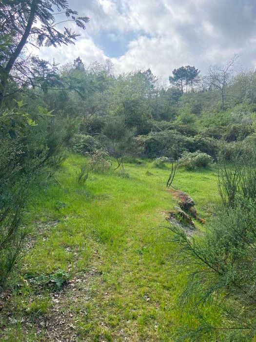 Terreno para venda junto à barragem de Bouça Cova