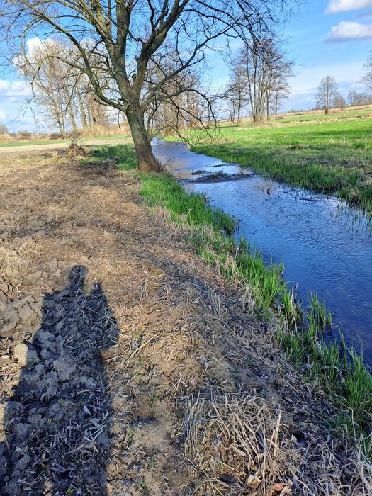 Sprzedam działkę rolną.