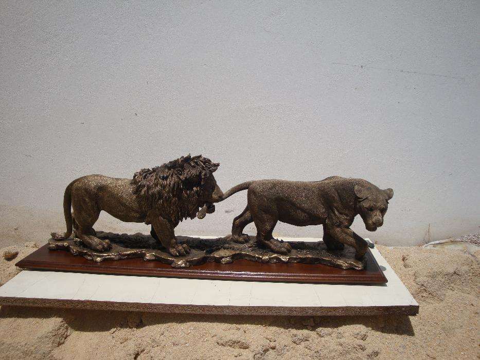 Casal dos leões dourados