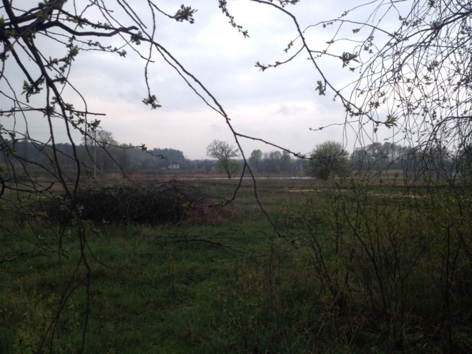 Продам будинок Брусилов