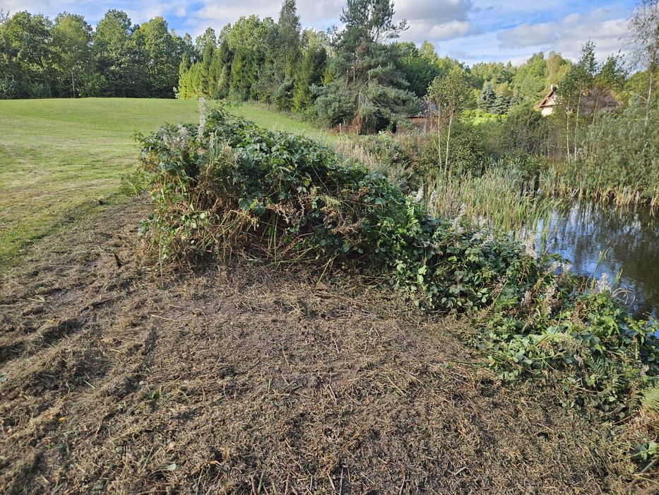 czyszczenie oczyszczanie działek nieużytków