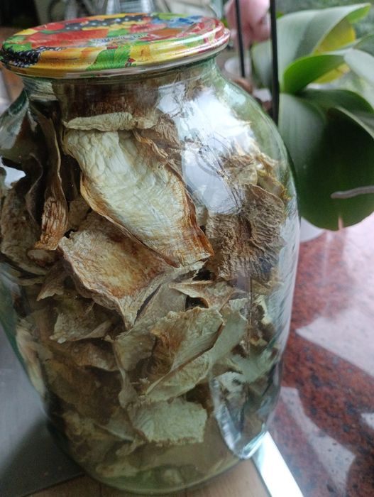 Гриби білі сушені