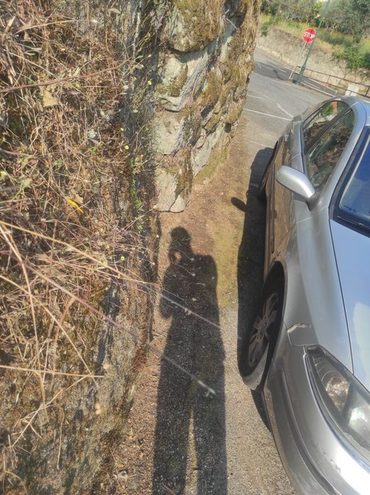 Renault laguna 1.9 DCI diesel