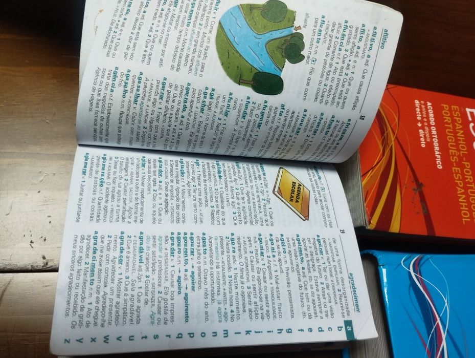 Dicionários diversos