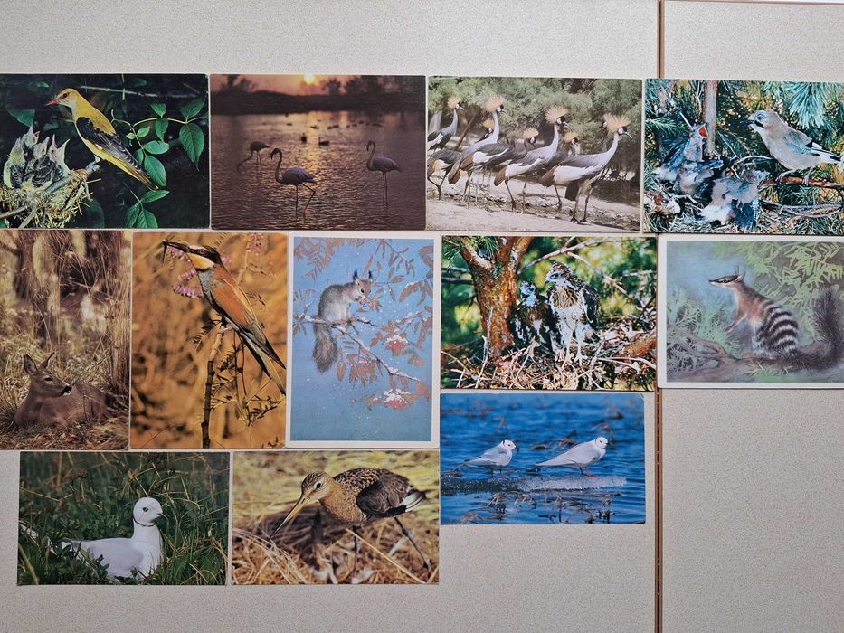 Открытки разные. Новые.