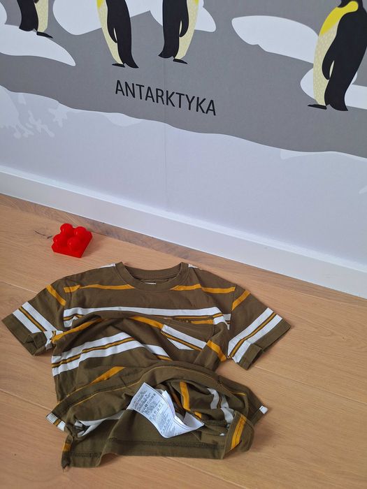 T-shirt elegancki w paski, z kieszonką dla chłopca- levis: like new:viralowy brąz w 2026r.