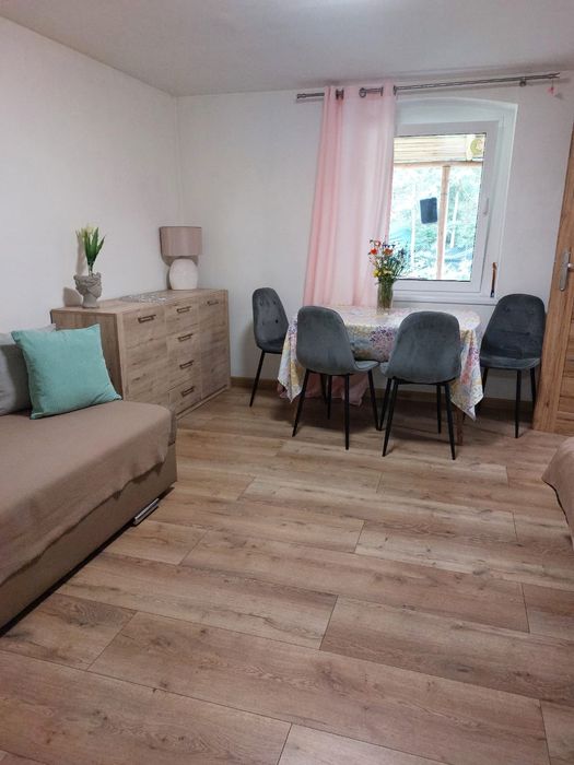 PROMOCJA Nd-Pt 1200zł