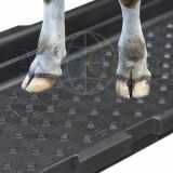 Wanna do dezynfekcji, kąpieli racic Super Kombi 200 l KERBL