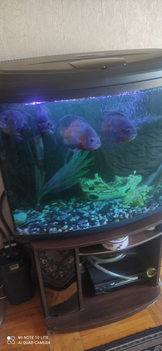 Аквариум на 120 литров
