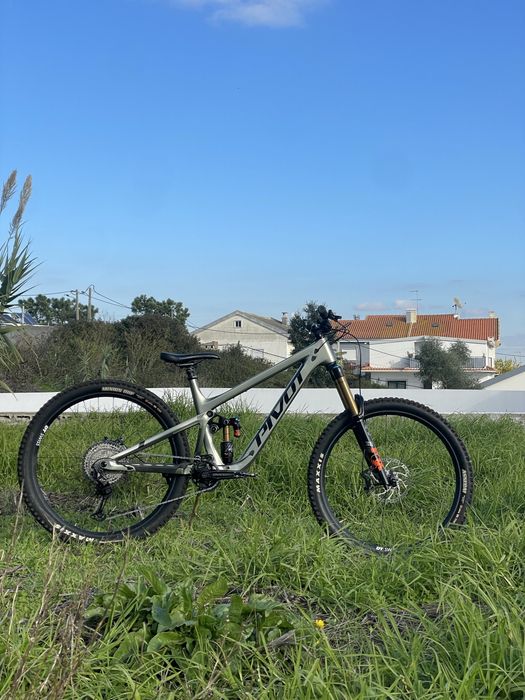 Pivot firebird 2024