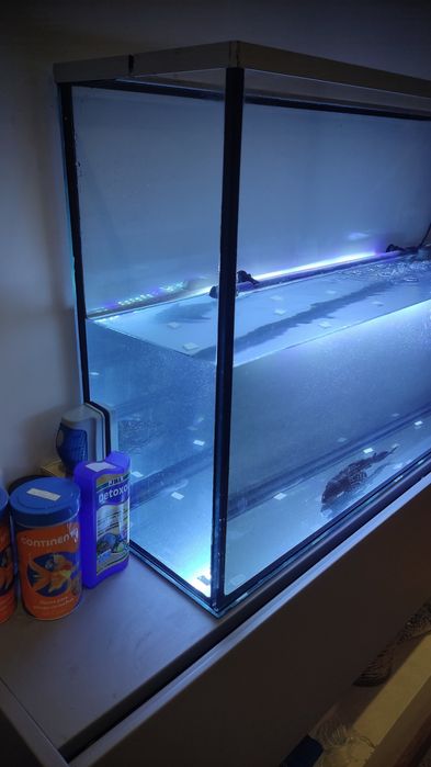 Aquário 80 x 41 x 21