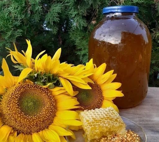 Мед соняшника свіжий цього року