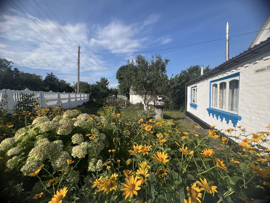 ‼️ПРОДАЖ  будинку   в селі  Лосятин