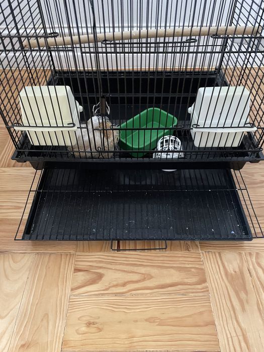 Gaiola para pássaros de porte pequeno/médio