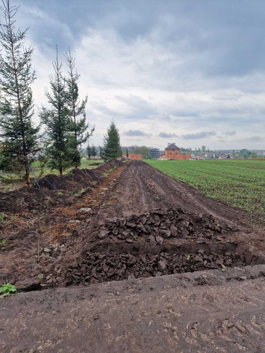 Фрезування ділянки, культивація. передпосівна підготовка землі