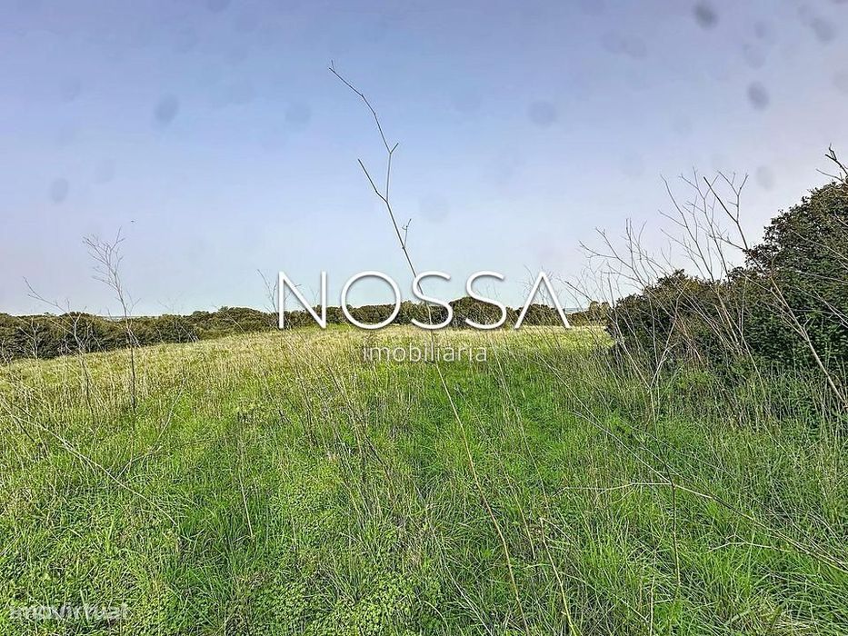 Terreno Rústico nas Raposeiras