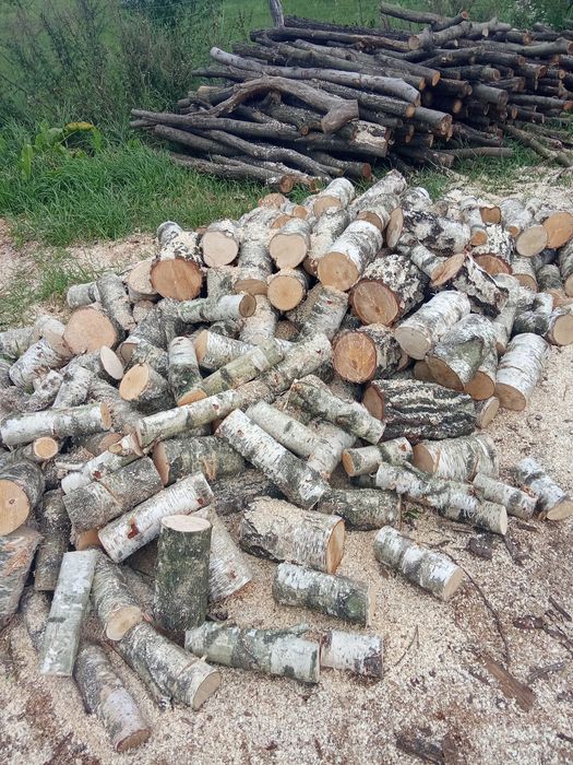 Sprzedam drewno opałowe i kominkowe