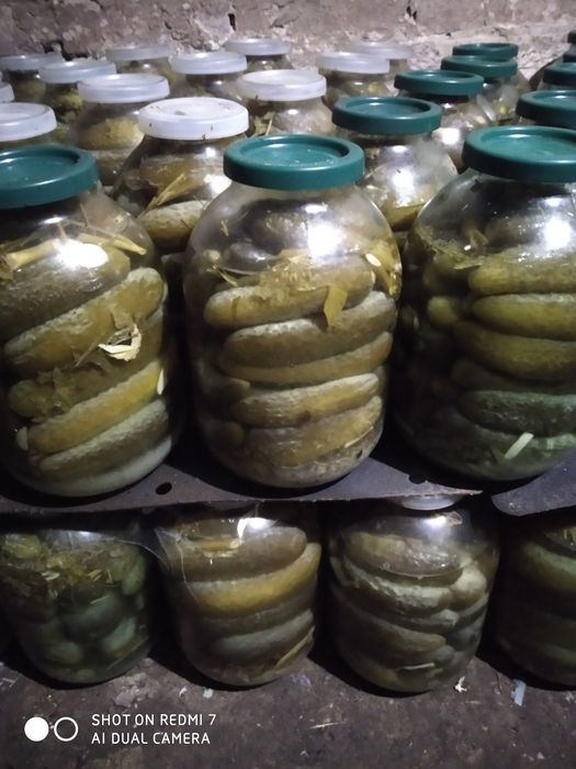 Томатный сок. Домашние помидоры 2024