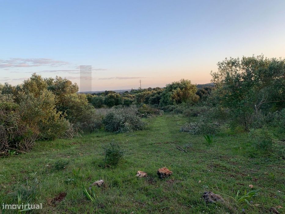Terreno na Serra de Monsanto - Alcanena