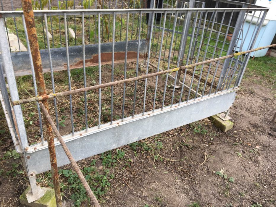 Клітка для свиней