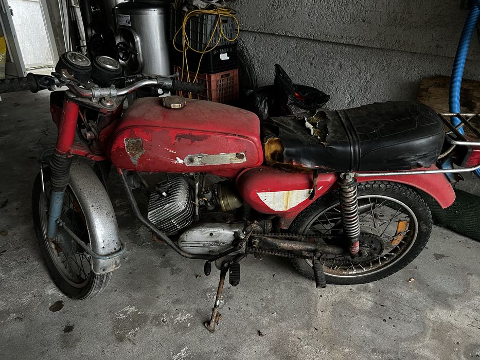 Casal Mamute para resrauro