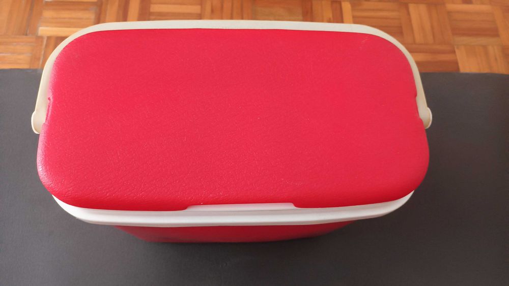 Geleira Térmica Portátil Rotho Cooler 24L (Fabrico Alemão) - Excelente Estado