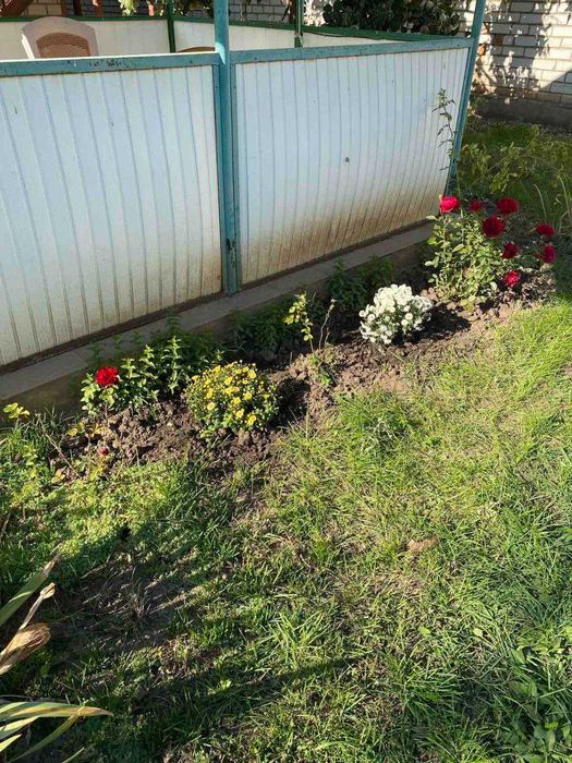 Продам дачу в Каролино-Бугазе