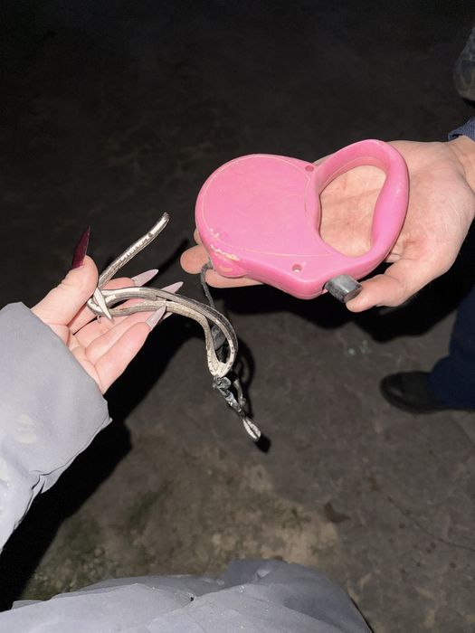 повідець для малої собаки